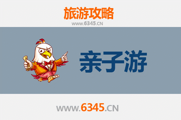上海金山亲子游攻略：滨海童趣与田园探索之旅