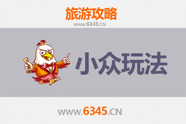 上海金山小众玩法探秘：避开人潮，解锁隐藏的滨海风情