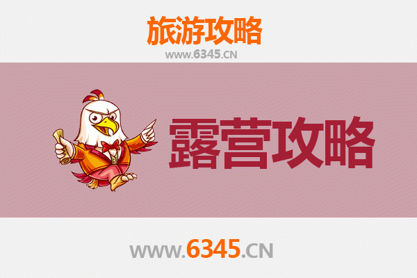 上海金山周边露营胜地全攻略:星空、沙滩与自然之约