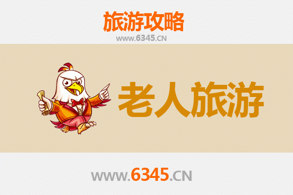 上海金山银发之旅：慢游金山，乐享晚年时光