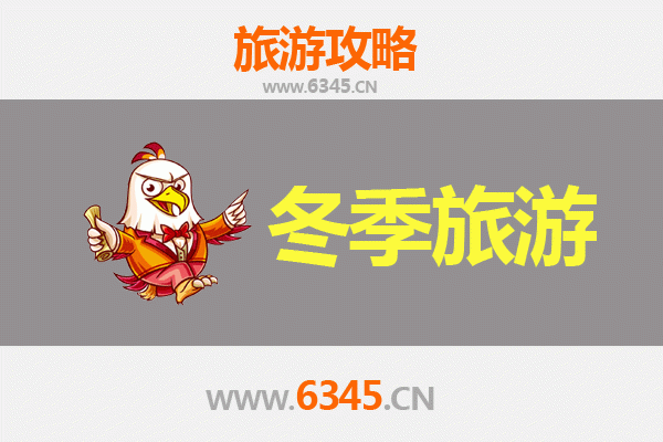 上海金山冬季旅游攻略：滨海风情与古镇暖冬之旅